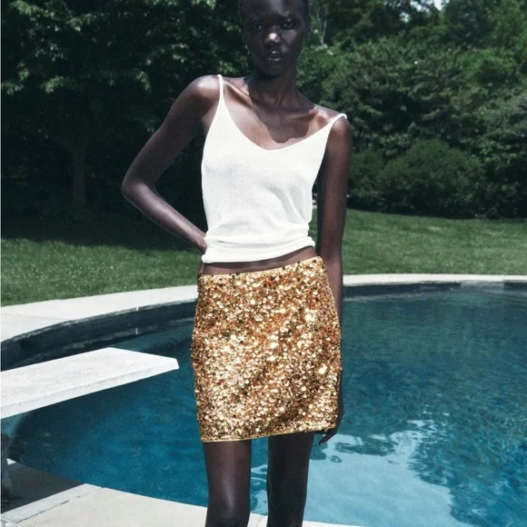 Zara | Skirts | Zara Woman Nwt Ss24 Zw Collection Sequinned